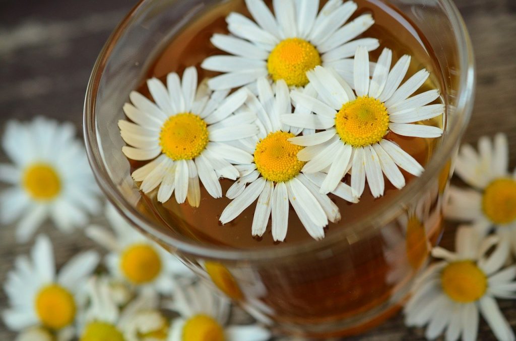 Drinking chamomile tea is generally considered very safe
