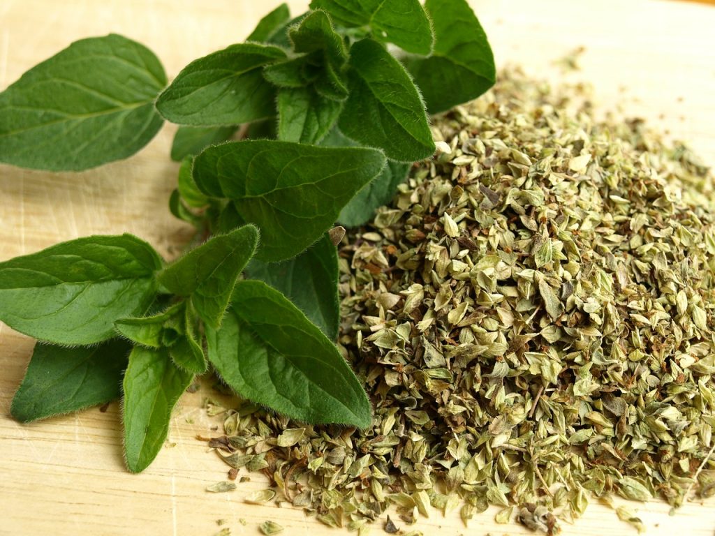 Oregano can be used both fresh and dry