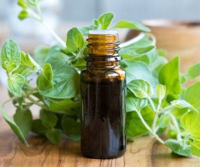 Oregano Oil: How to Make it, Uses and Dosage