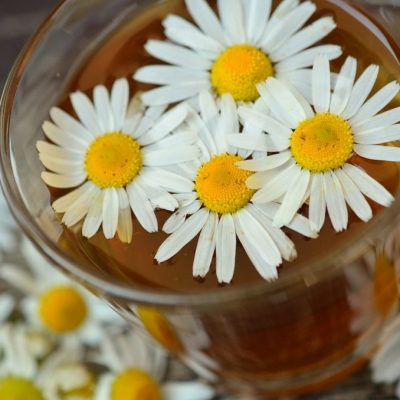 Chamomile Tea: 6 Powerful Benefits and 7 Practical Uses